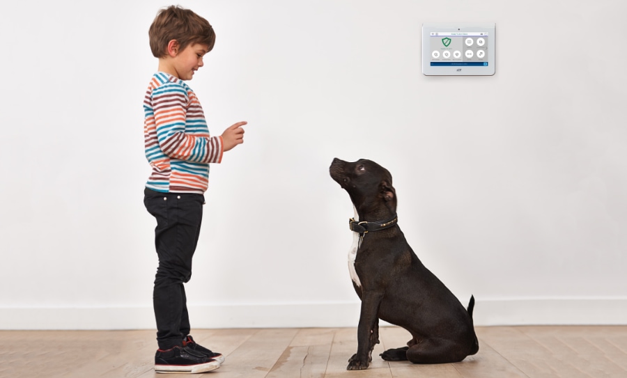 Dunbar security systems